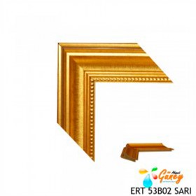 ERT 53B02 SARI -